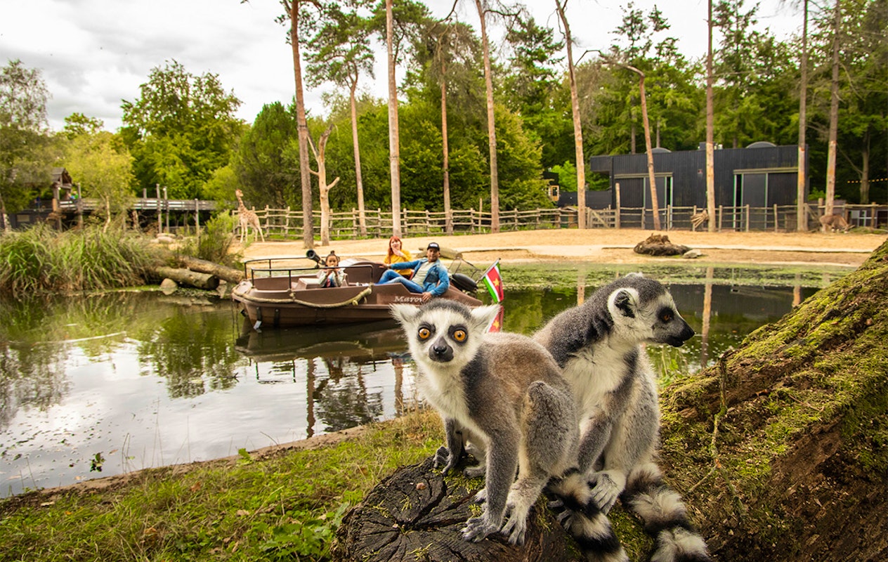 Entreeticket DierenPark Amersfoort