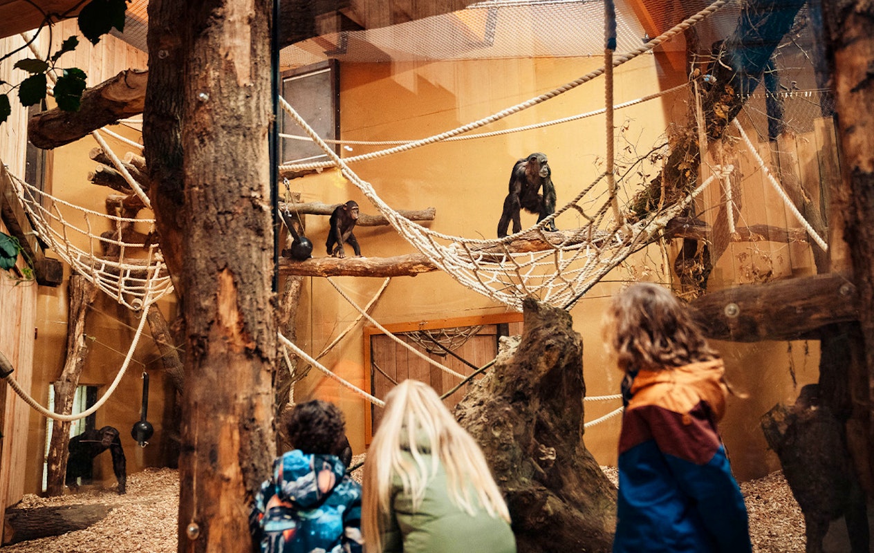 Entreeticket DierenPark Amersfoort