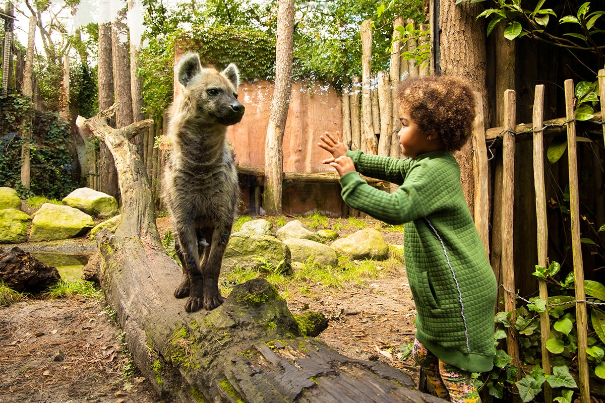 Entreeticket DierenPark Amersfoort