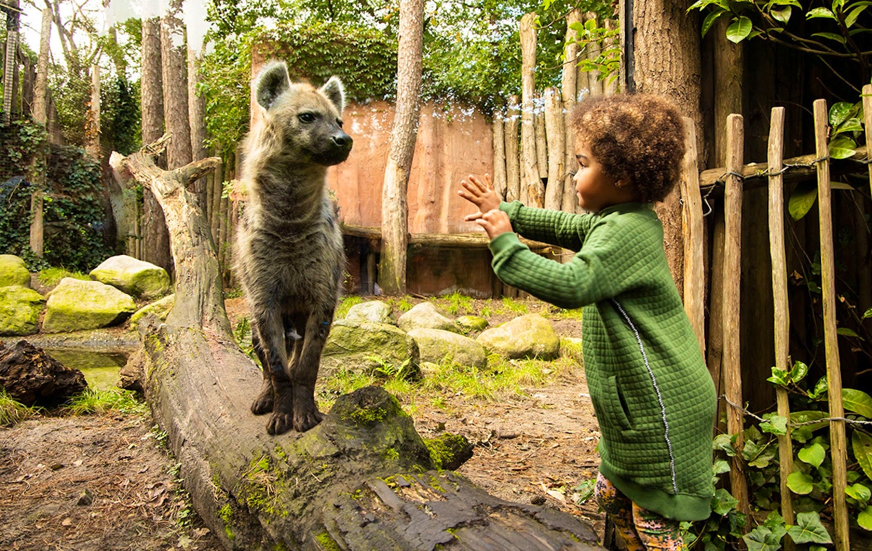 Entreeticket DierenPark Amersfoort