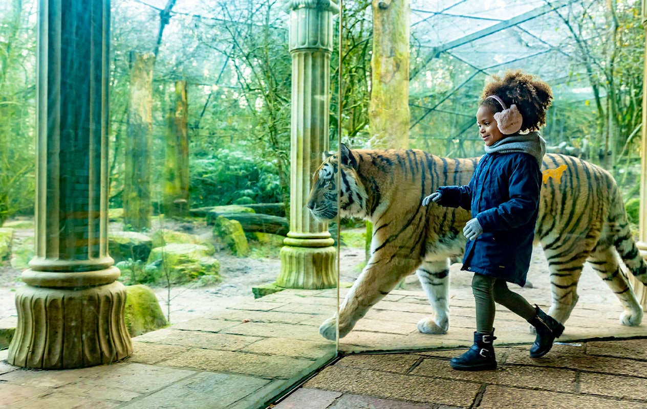 Entreeticket DierenPark Amersfoort