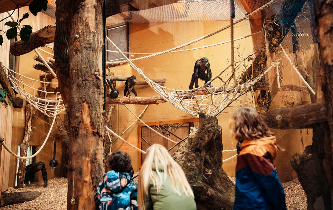 Entreeticket DierenPark Amersfoort