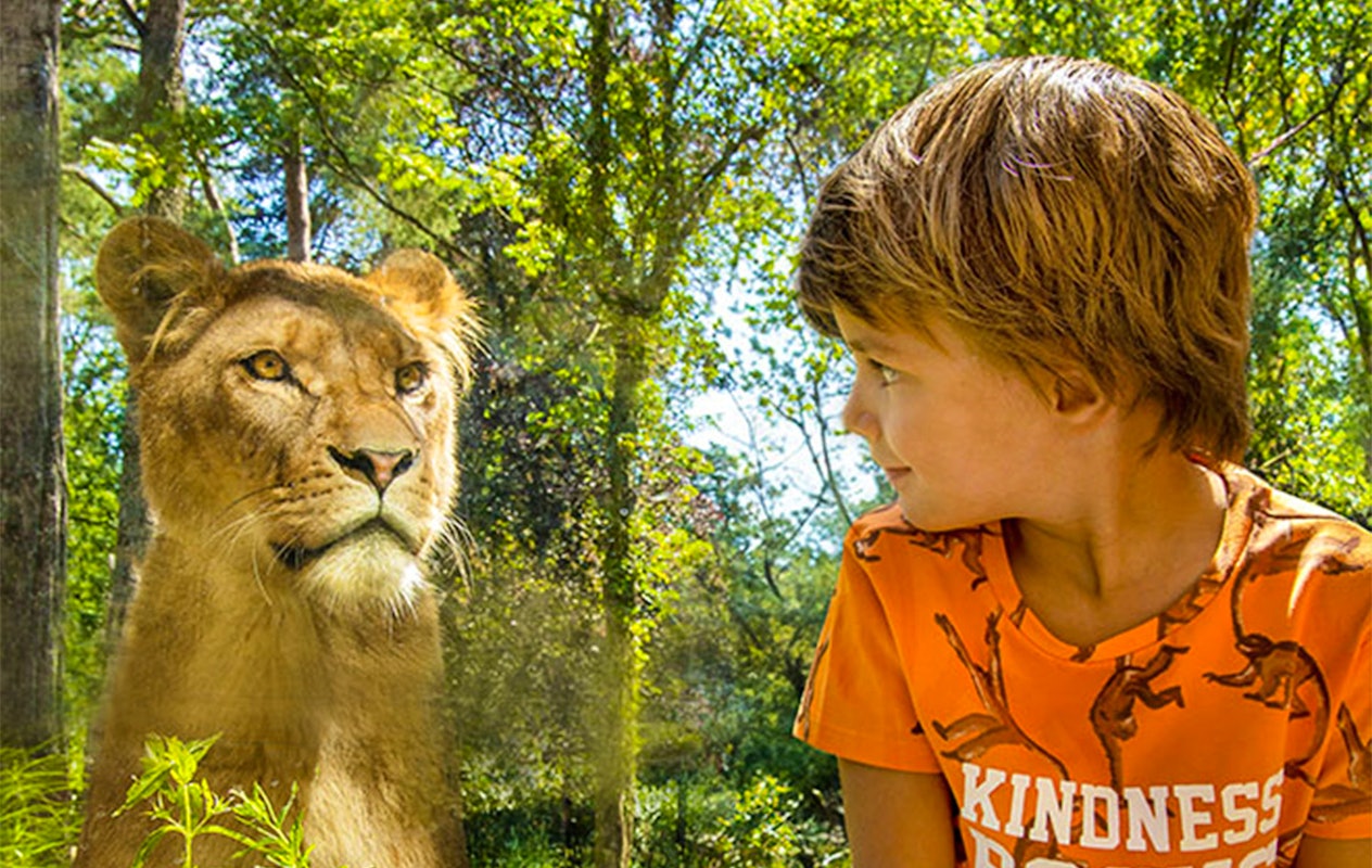 Entreeticket DierenPark Amersfoort