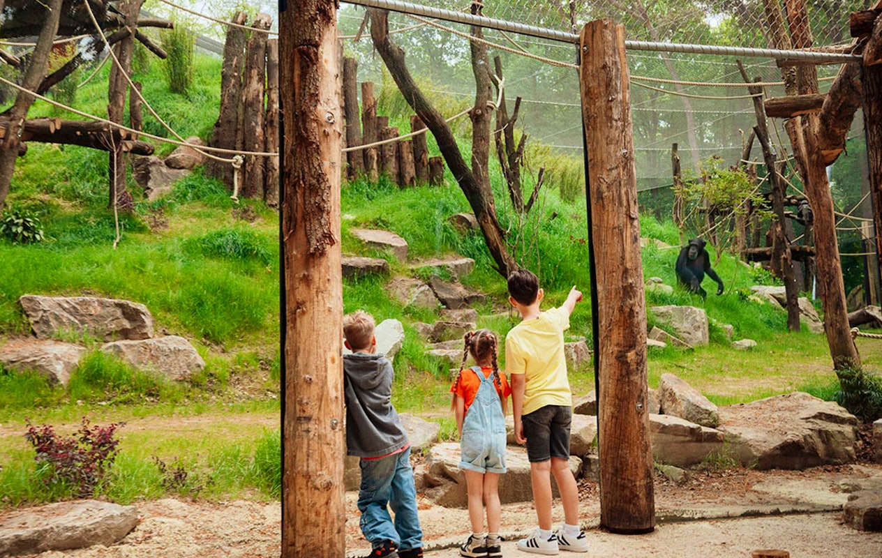 Entreeticket DierenPark Amersfoort