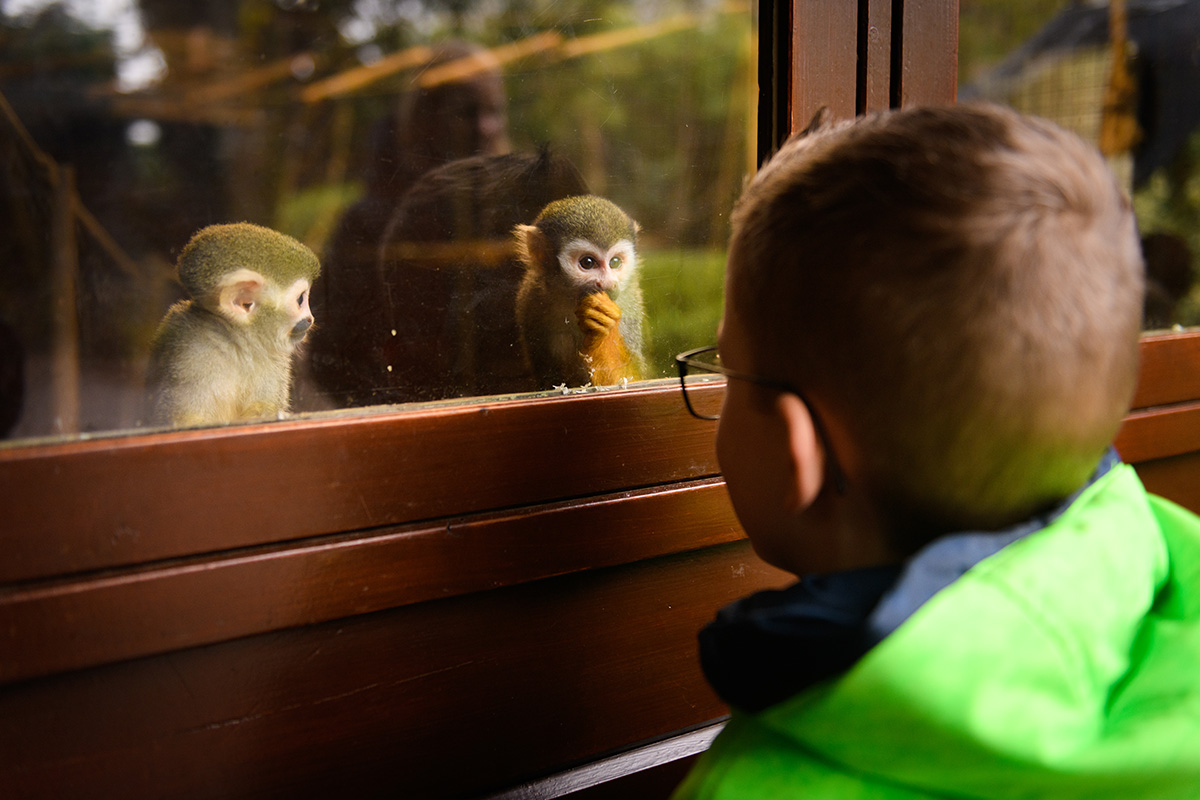 Entreeticket Dierenpark de Oliemeulen