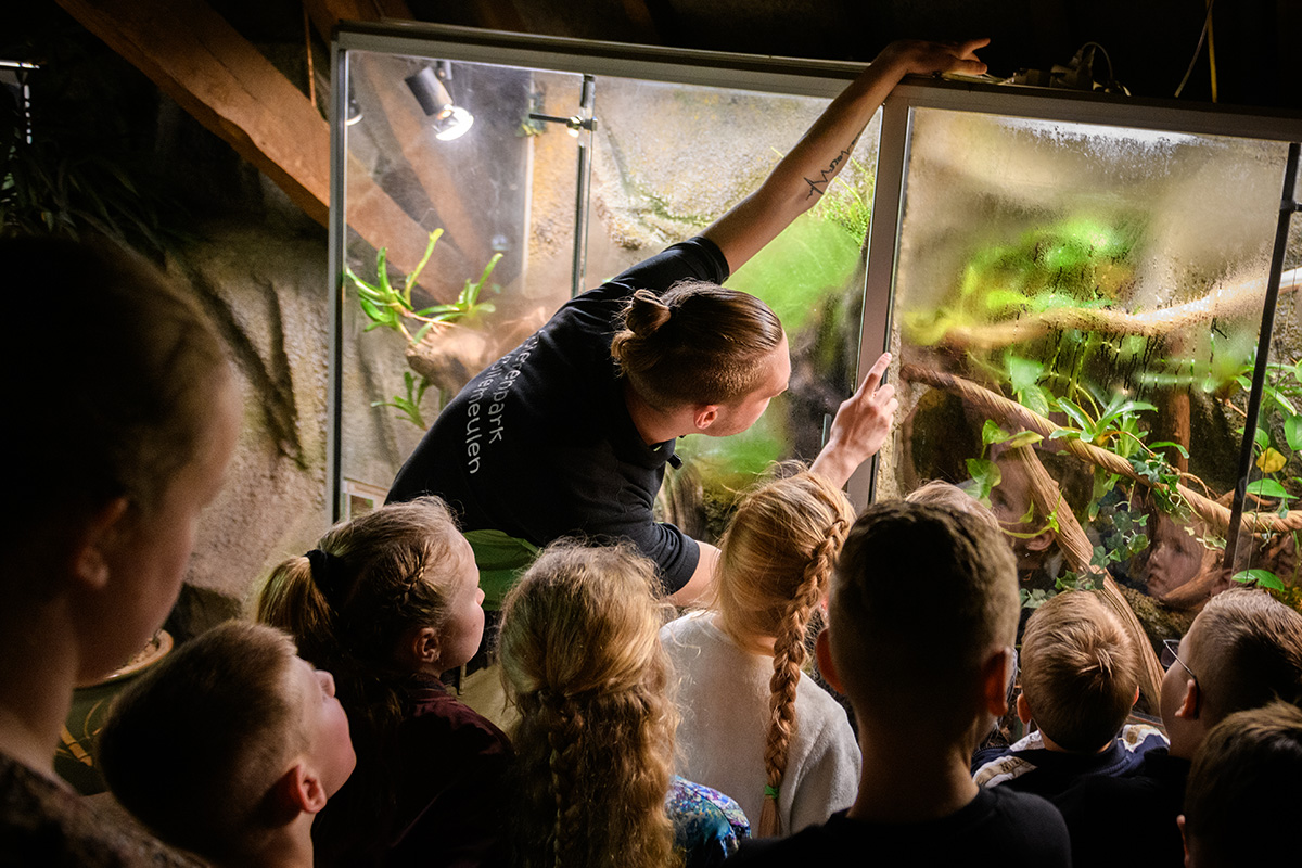 Entreeticket Dierenpark de Oliemeulen