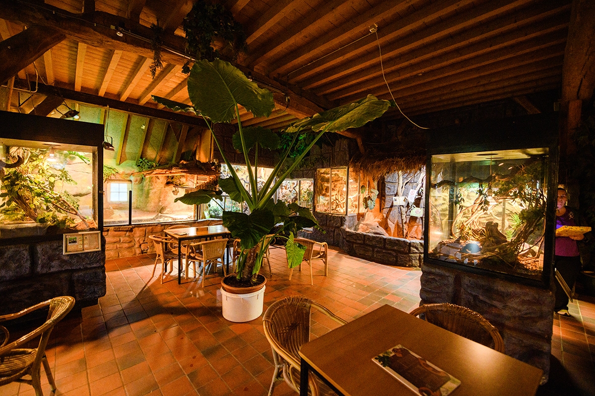 Entreeticket Dierenpark de Oliemeulen