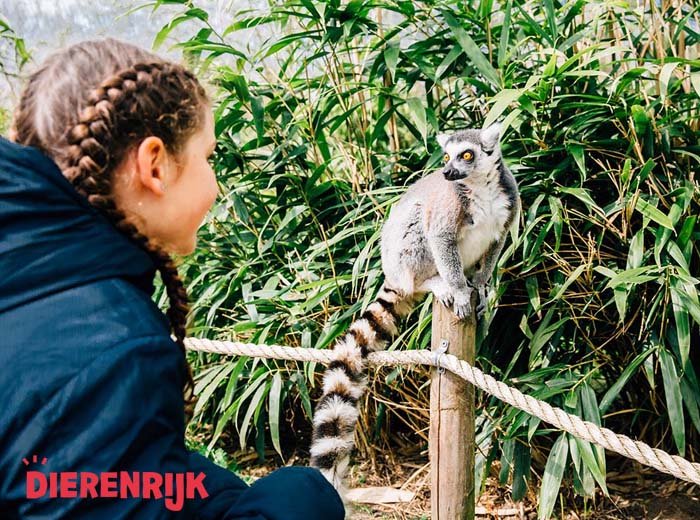 Entreeticket Dierenrijk