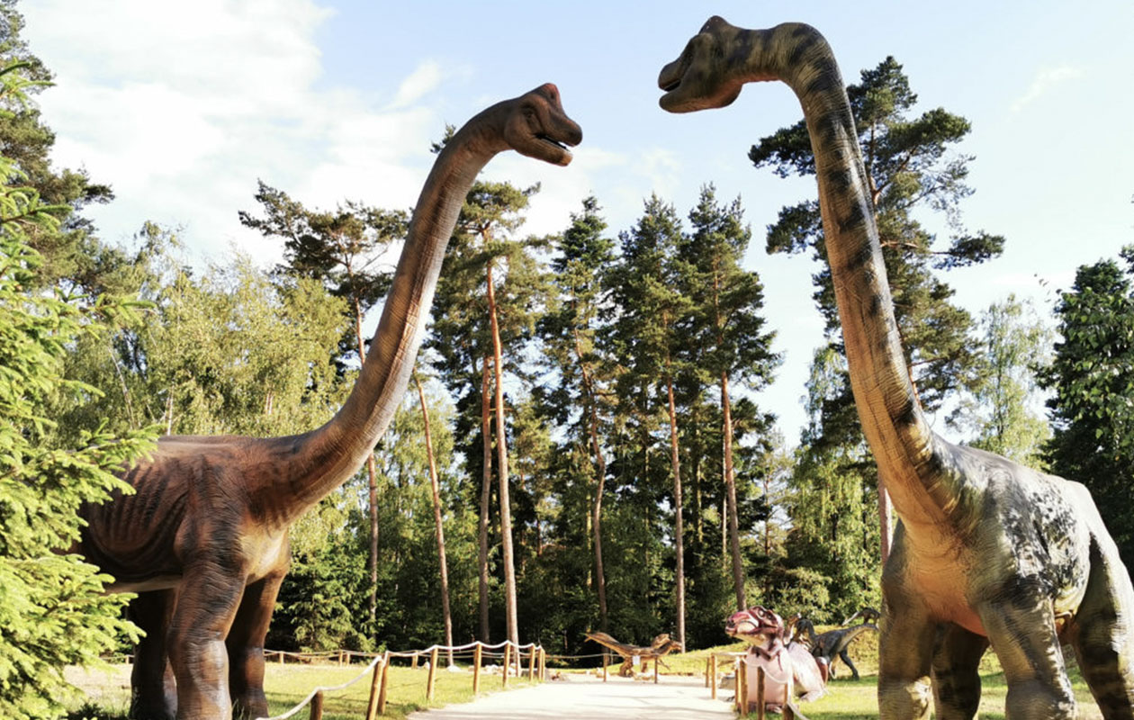 Entreeticket Dino Zoo Metelen + €6 shop tegoed