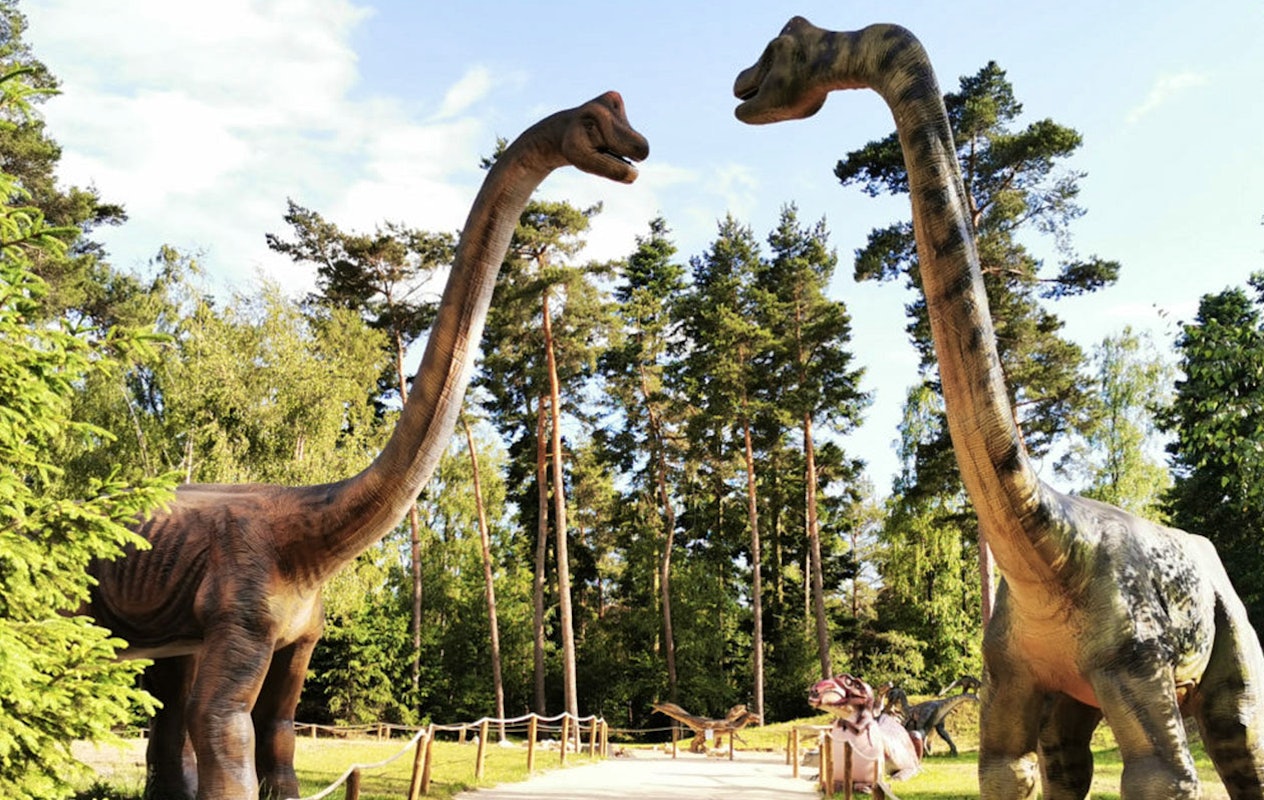 Entreeticket Dino Zoo Metelen + €6 shop tegoed