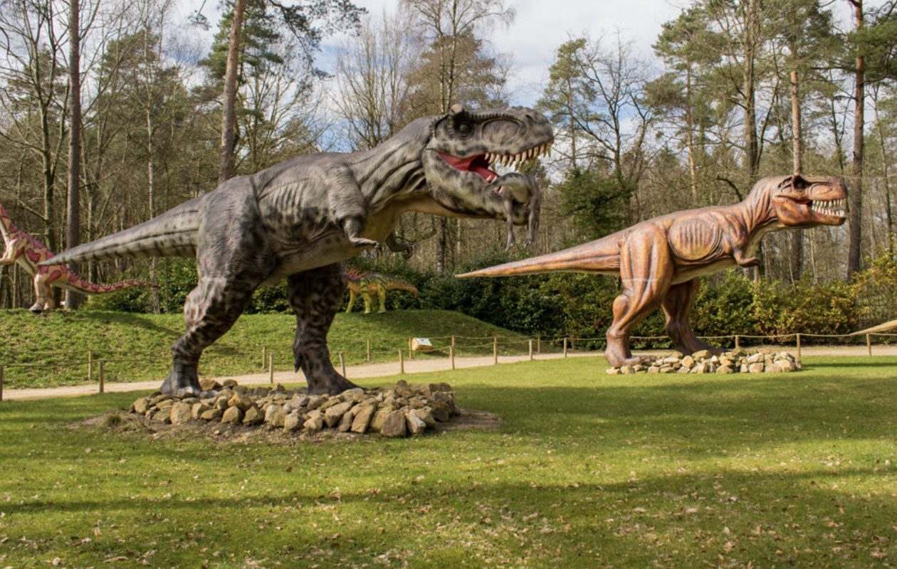 Entreeticket Dino Zoo Metelen + €6 shop tegoed