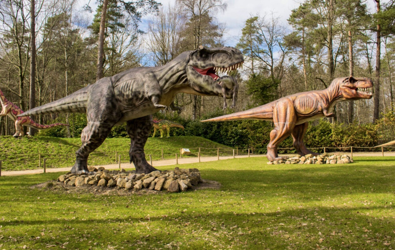 Entreeticket Dino Zoo Metelen + €6 shop tegoed