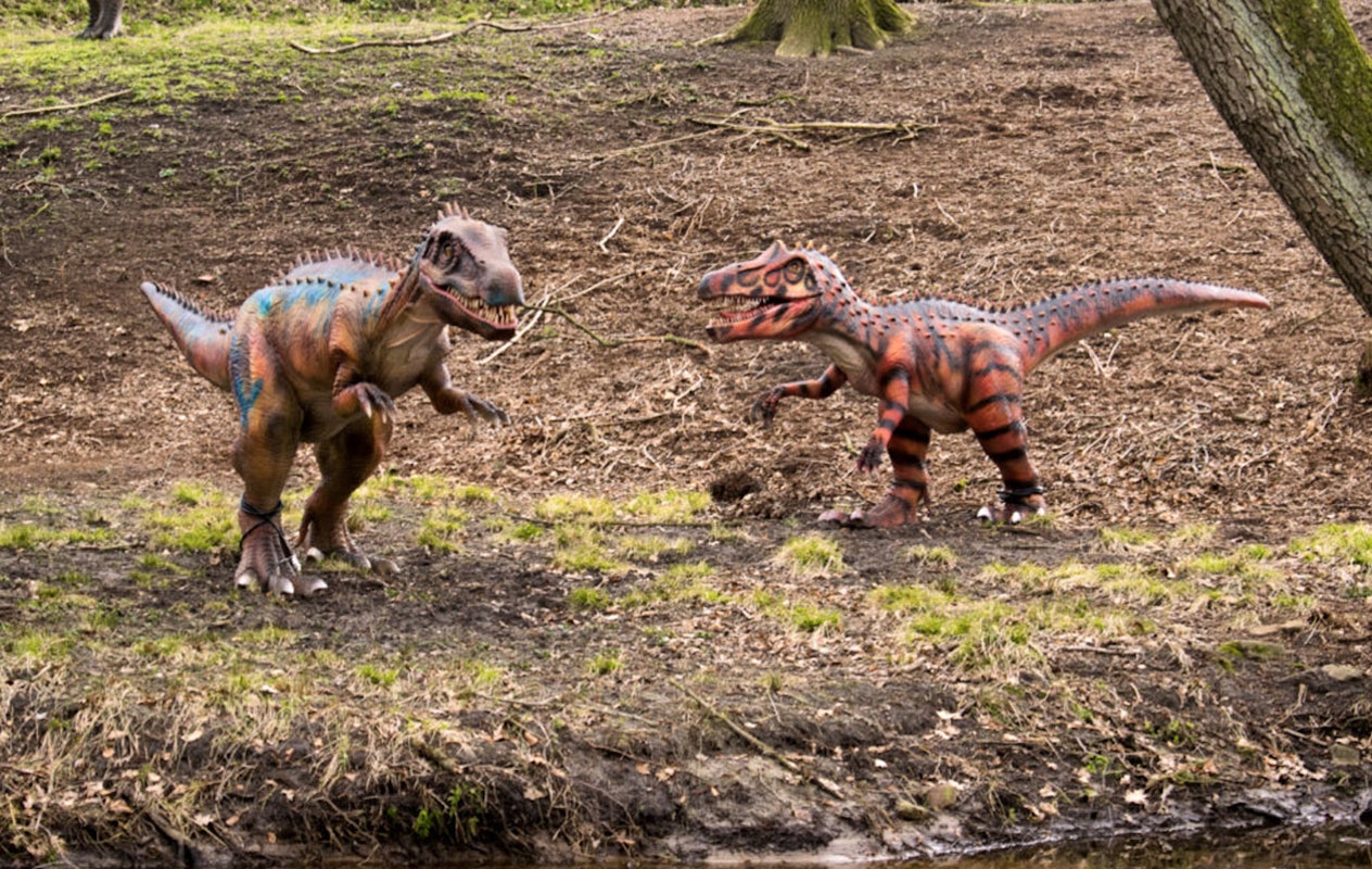 Entreeticket Dino Zoo Metelen + €6 shop tegoed