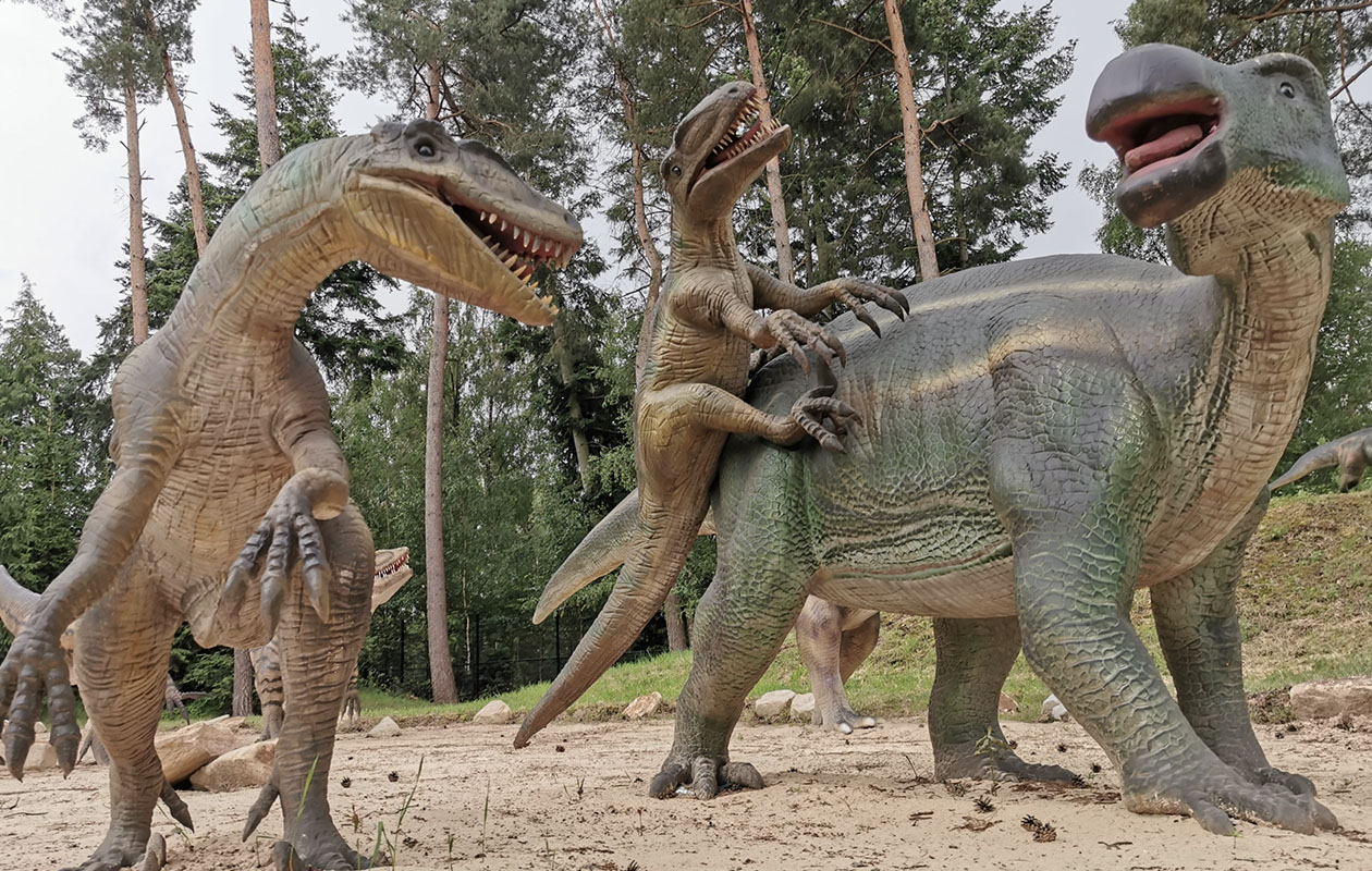 Entreeticket Dino Zoo Metelen + €6 shop tegoed