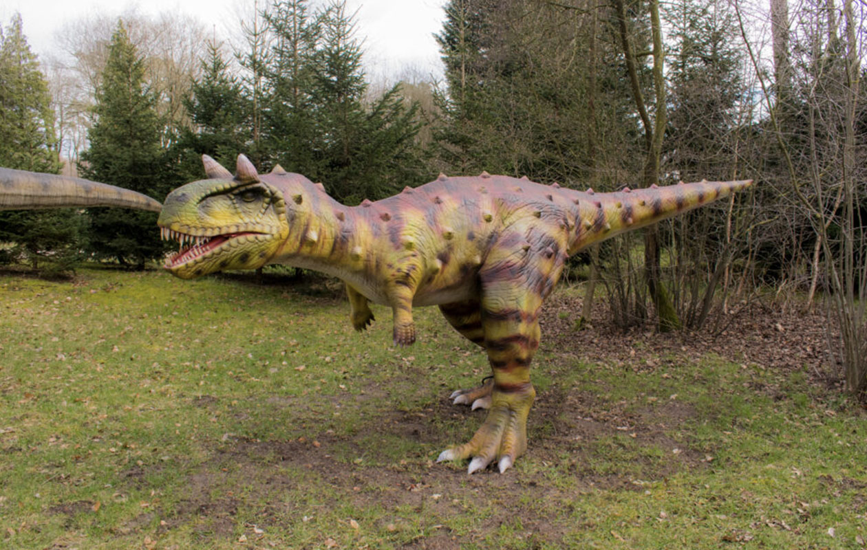 Entreeticket Dino Zoo Metelen + €6 shop tegoed