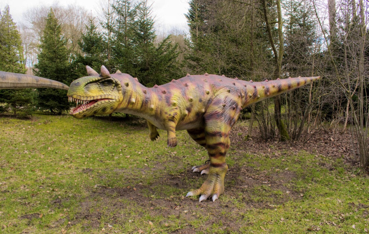 Entreeticket Dino Zoo Metelen + €6 shop tegoed