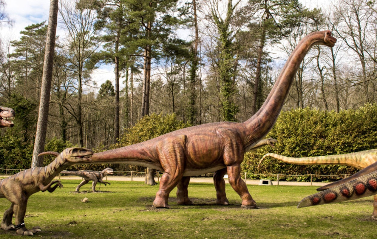 Entreeticket Dino Zoo Metelen + €6 shop tegoed