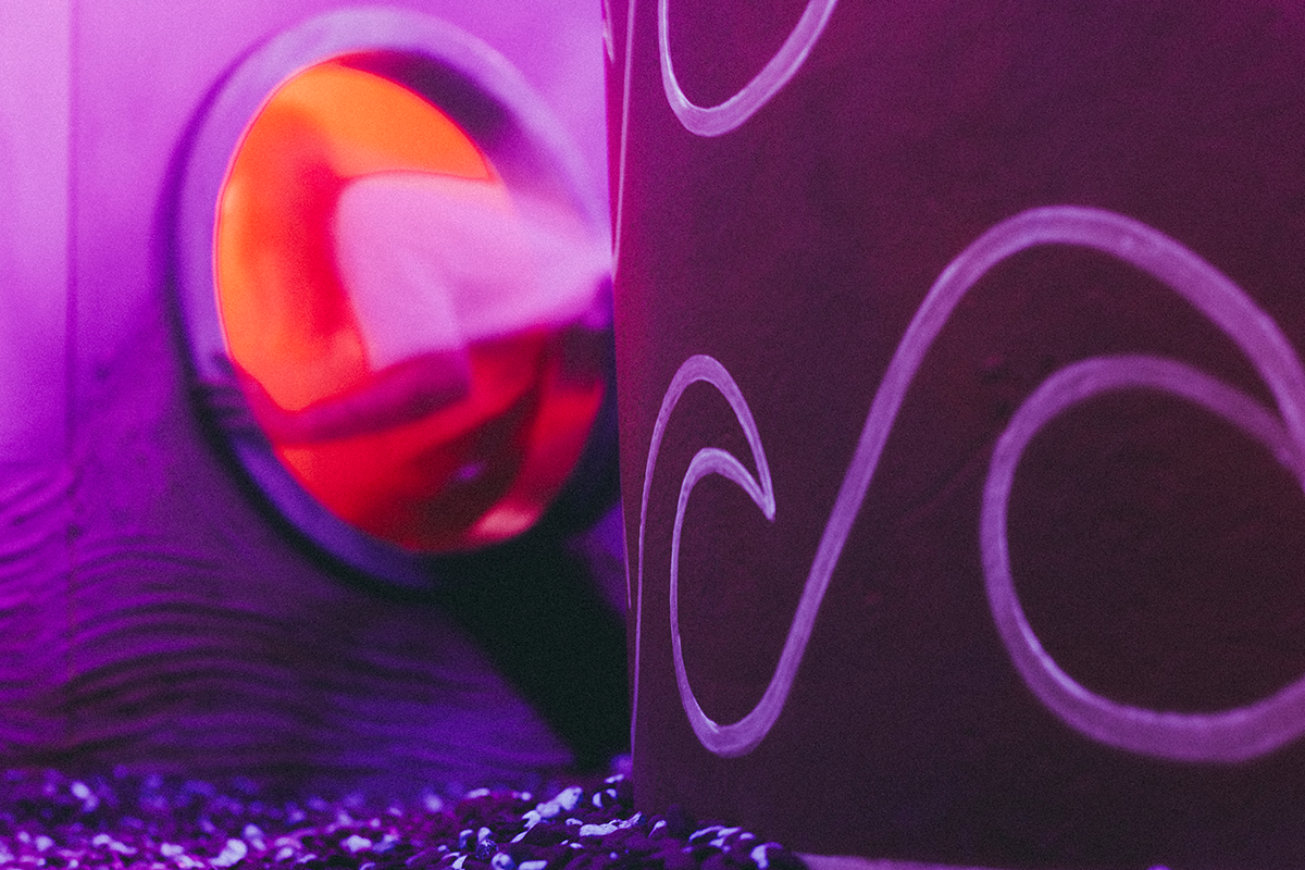 Entreeticket Doloris Anoma Maze (vrijdag)