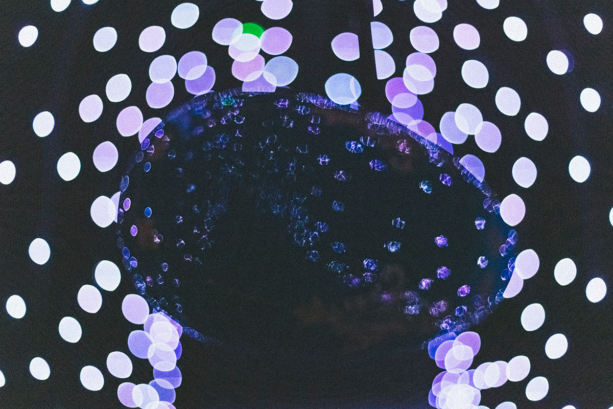 Entreeticket Doloris Anoma Maze (weekend)