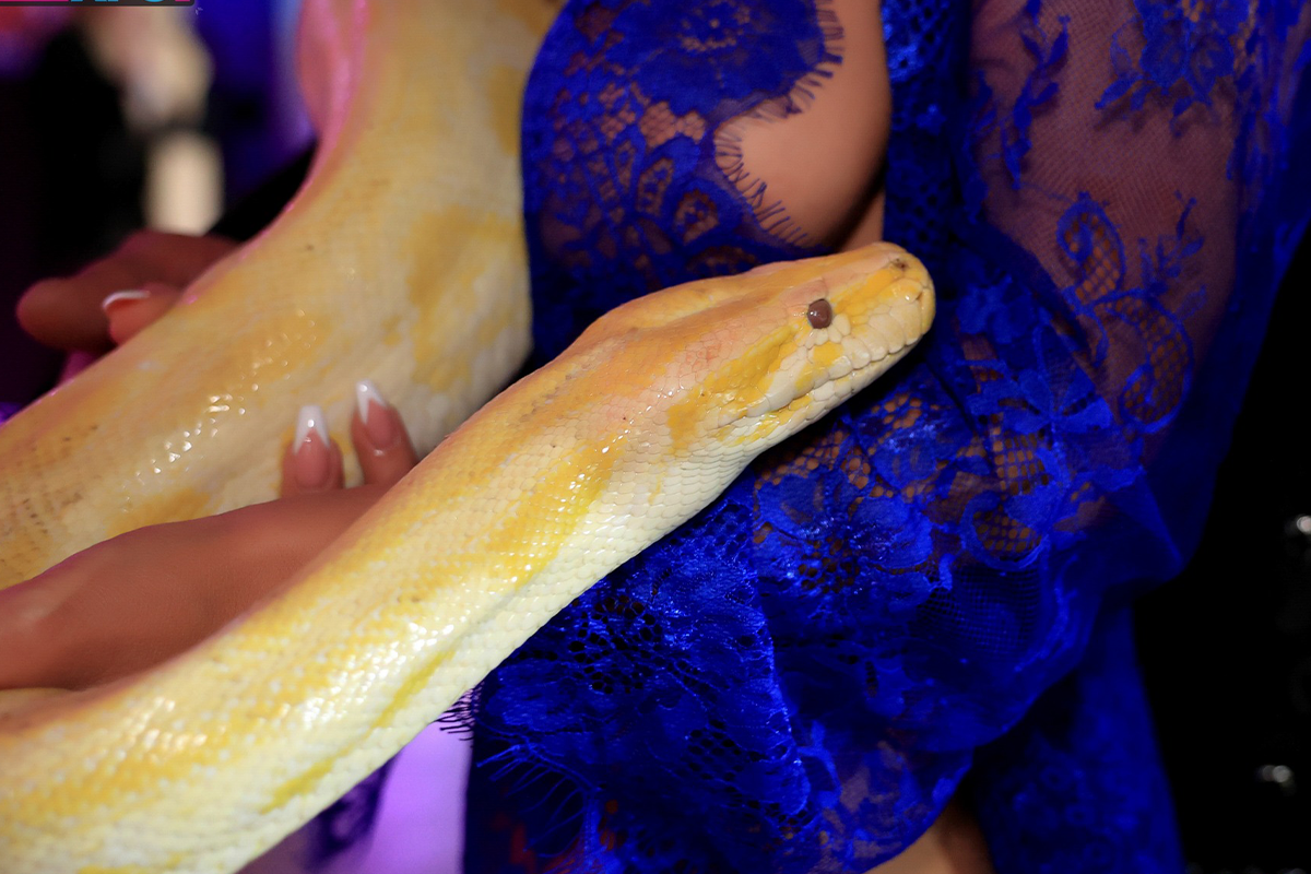 Entreeticket Ero-Expo Erotic, Body & Beauty beurs in Gent