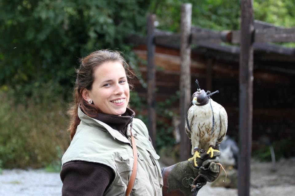 Valkeniersworkshop Falcon Crest (3 uur), inclusief drankje + koek