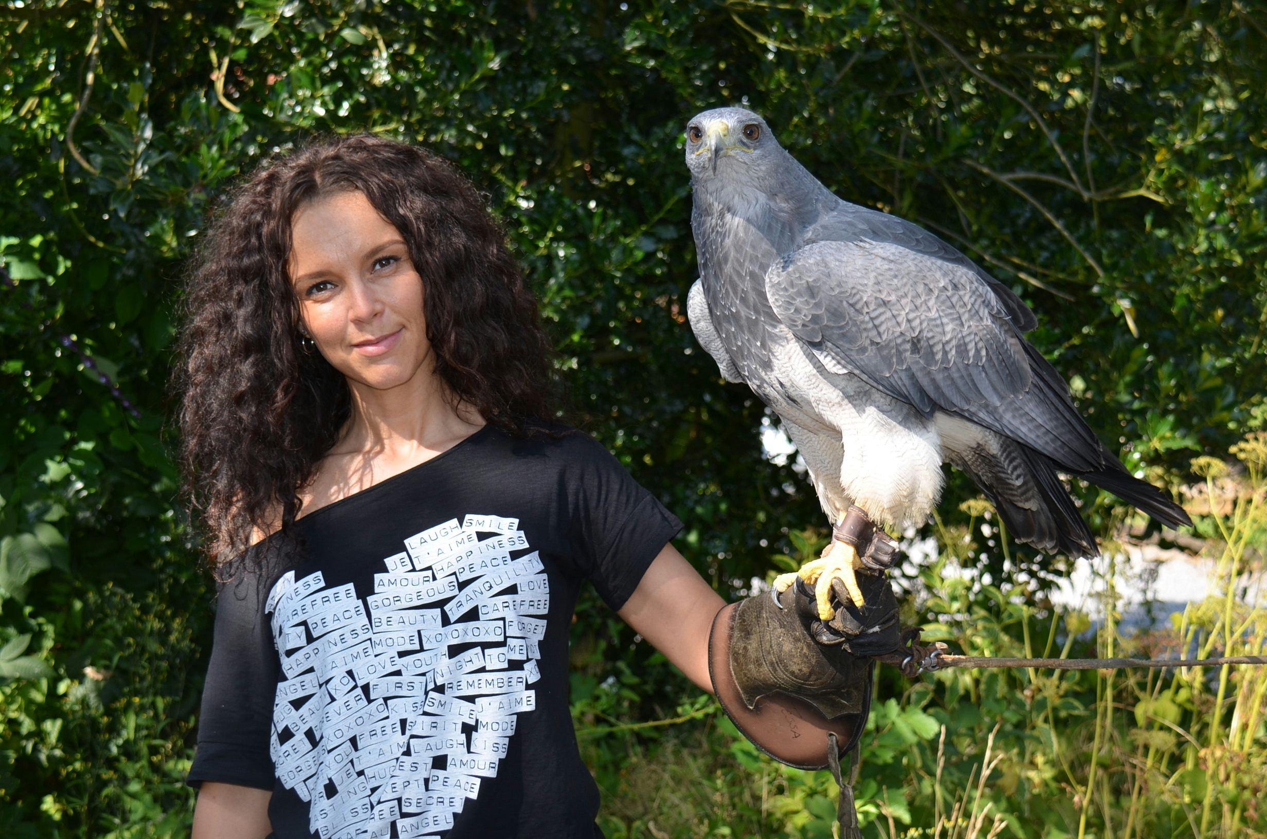 Valkeniersworkshop Falcon Crest (3 uur), inclusief drankje + koek