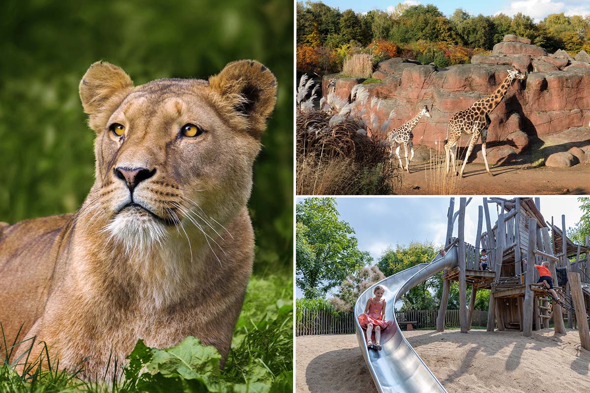 Entreeticket GaiaZOO