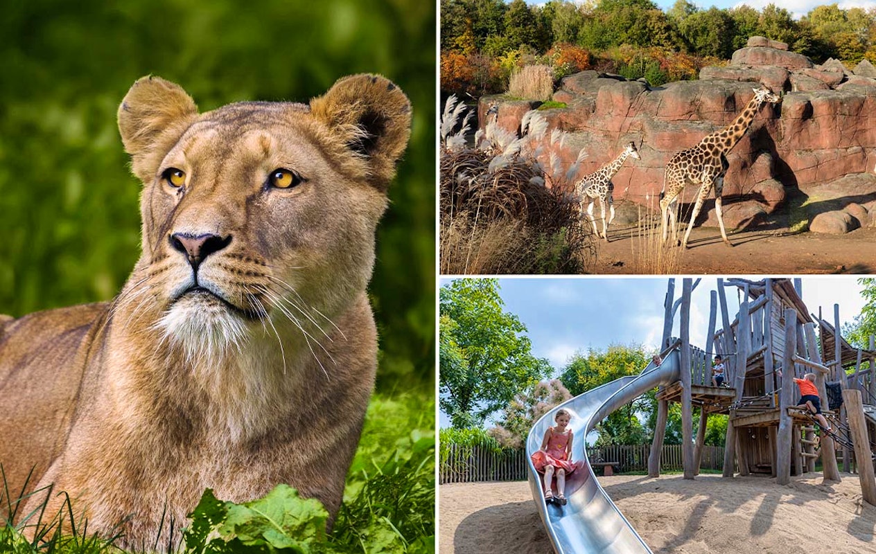 Entreeticket GaiaZOO