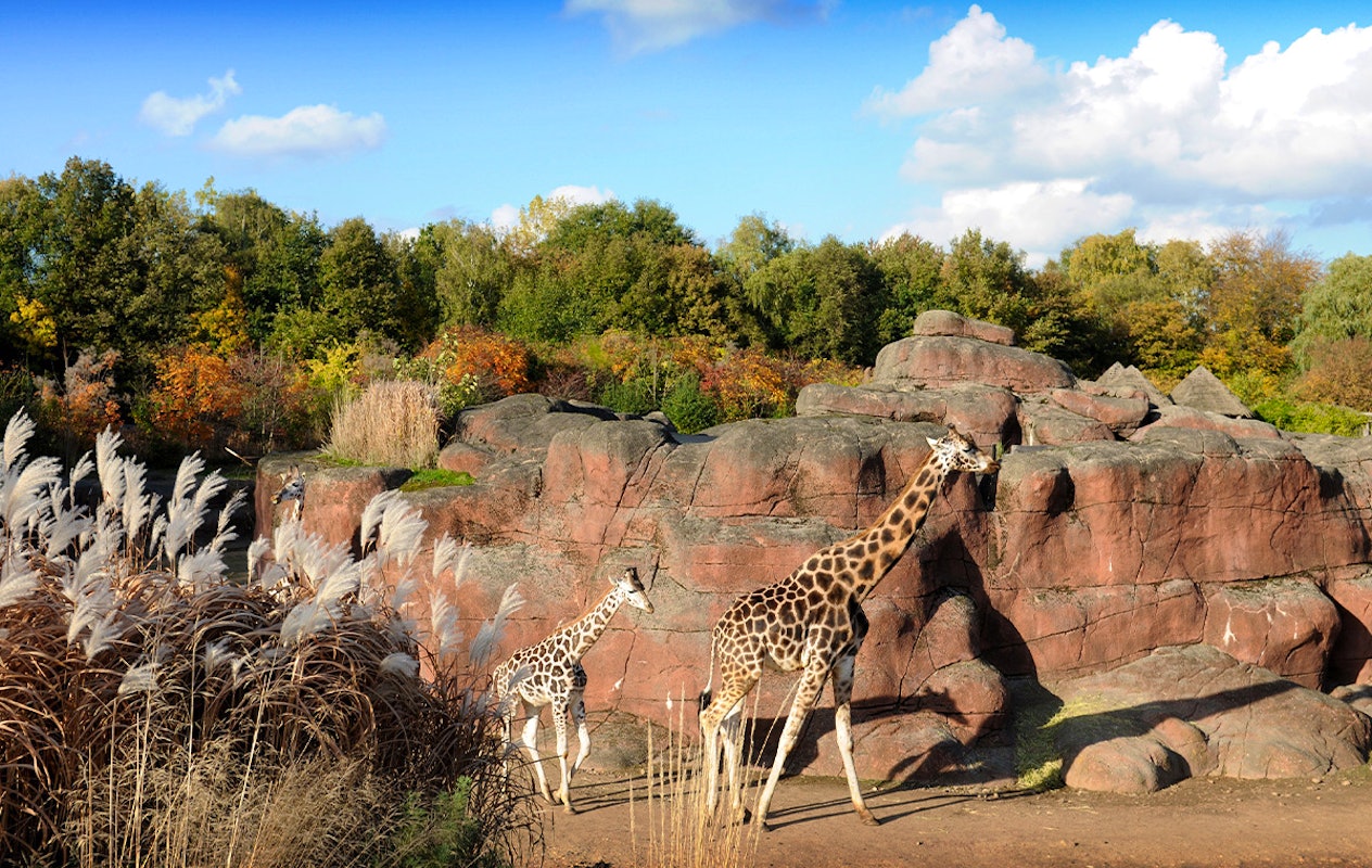 Entreeticket GaiaZOO