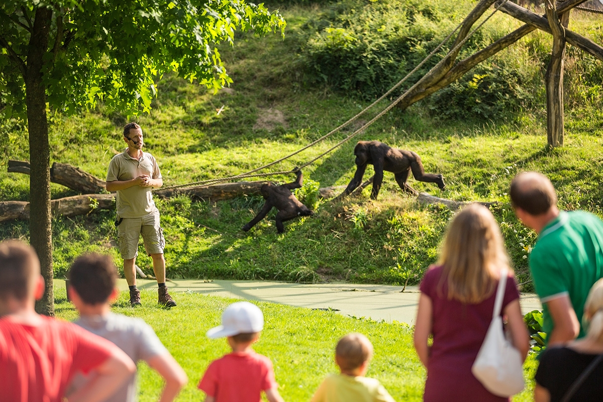 Entreeticket GaiaZOO