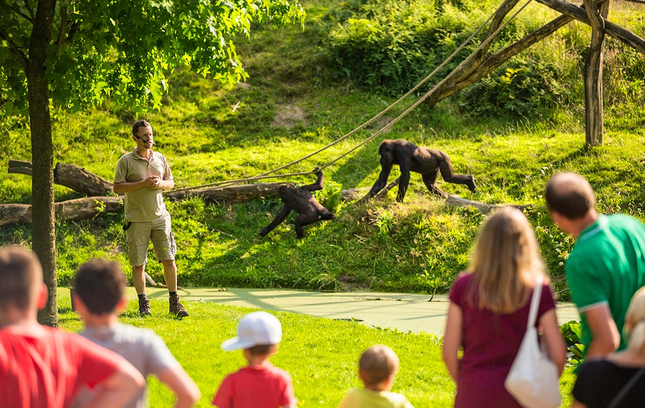 Entreeticket GaiaZOO