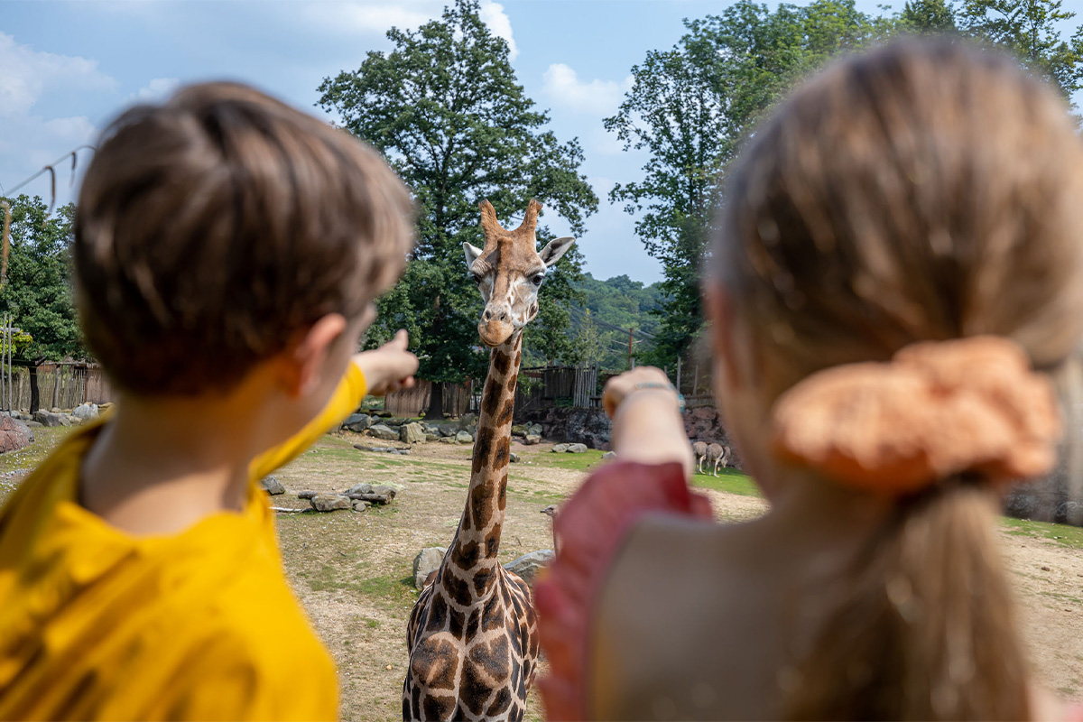 Entreeticket GaiaZOO