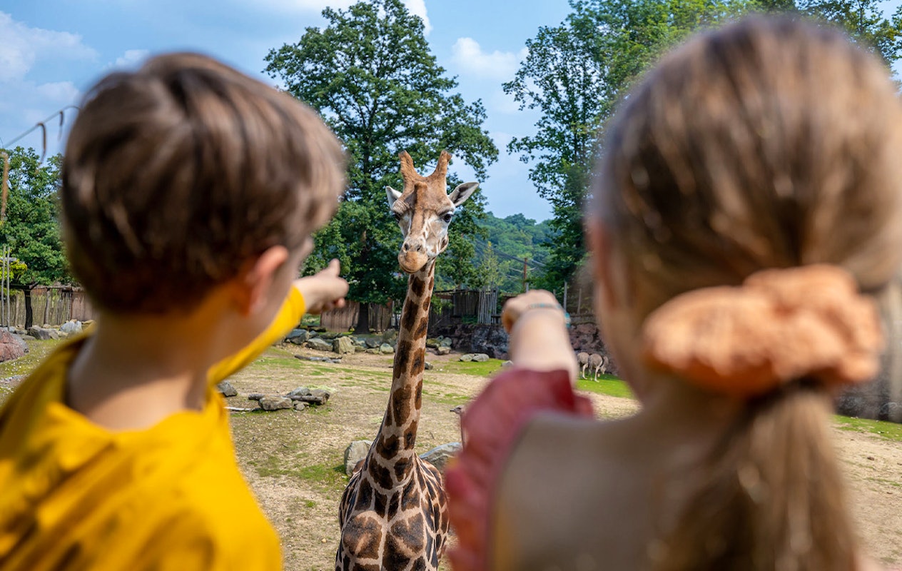 Entreeticket GaiaZOO