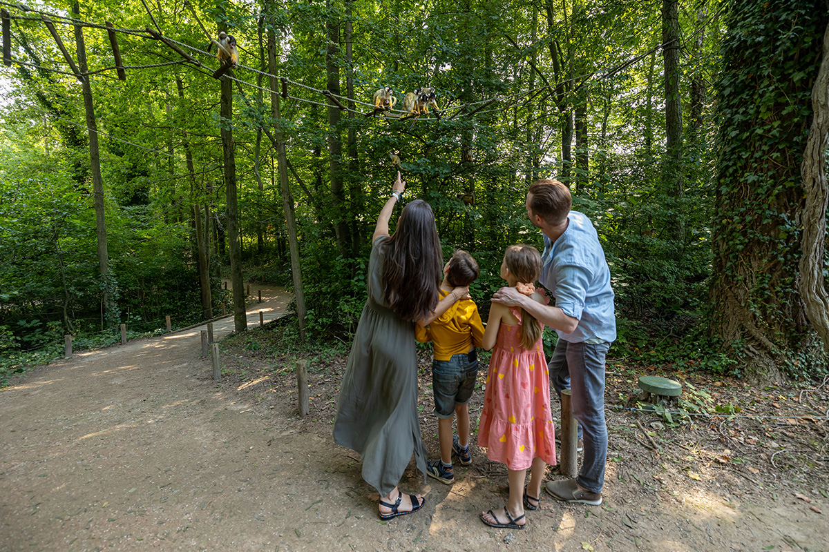 Entreeticket GaiaZOO