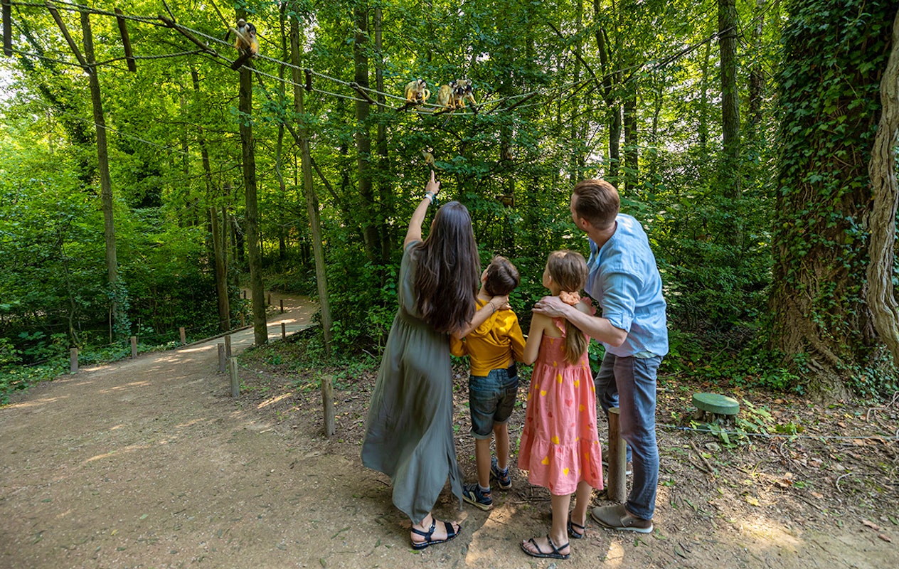 Entreeticket GaiaZOO