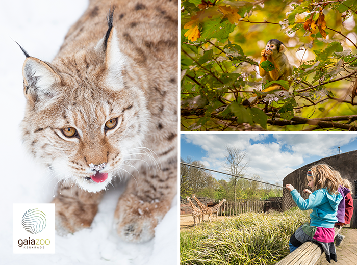 Entreeticket GaiaZOO