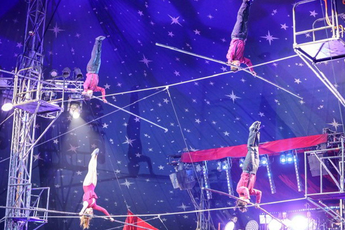 Entreeticket Groot Kerstcircus Den Haag (1 januari)