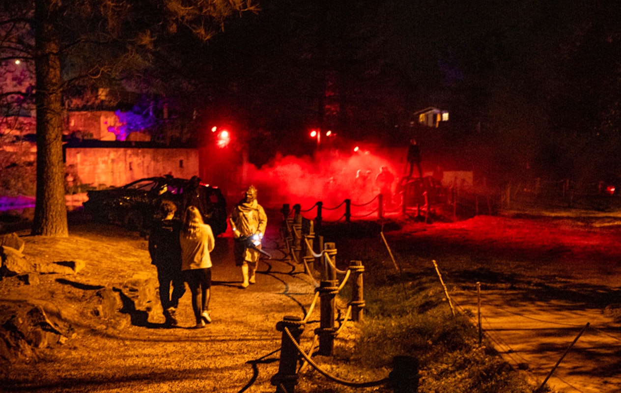 Entreeticket Halloween The Villains VIIII op 25 of 26 oktober 2024