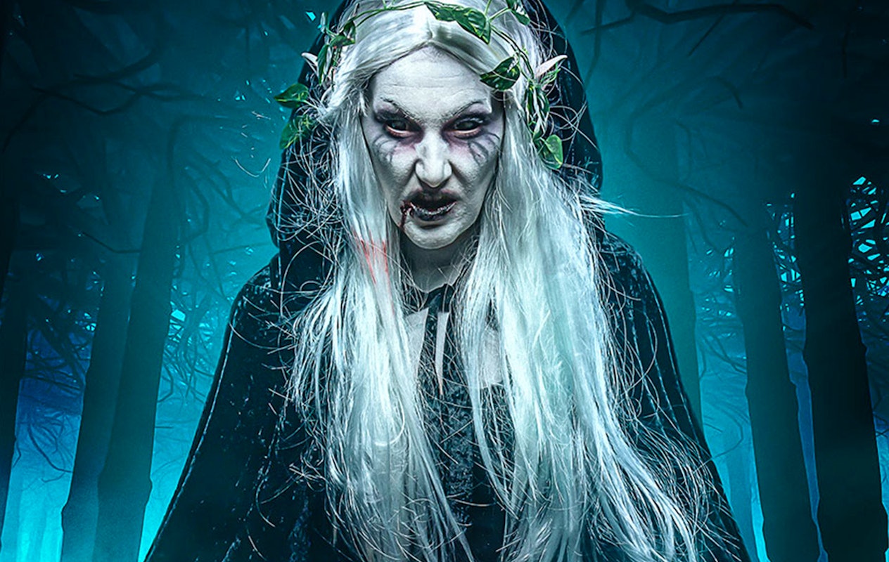 Entreeticket Halloween The Villains VIIII op 25 of 26 oktober 2024