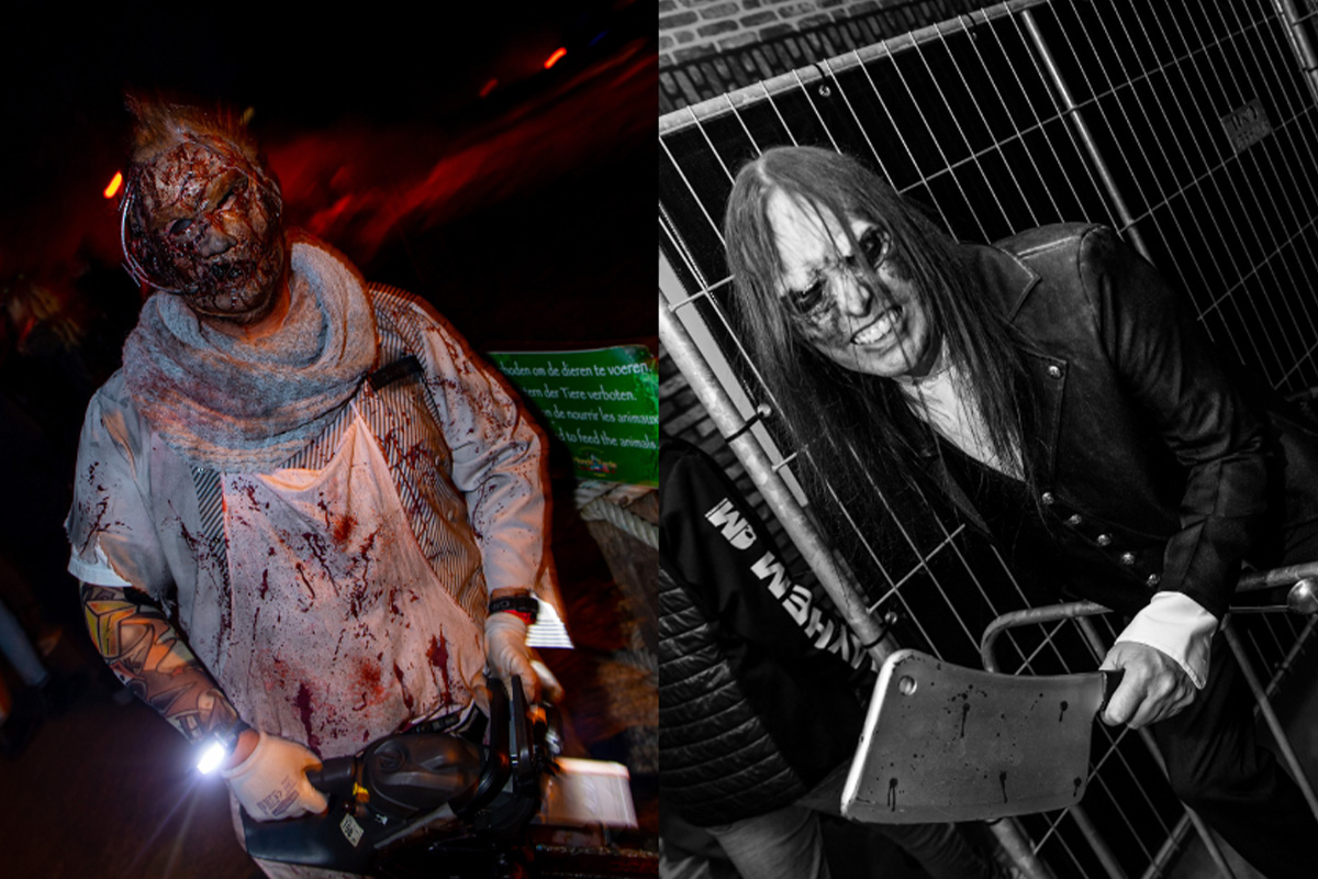 Entreeticket Halloween The Villains VIIII op 25 of 26 oktober 2024