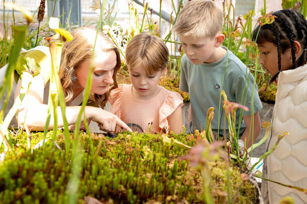 Entreeticket Hortus botanicus Leiden
