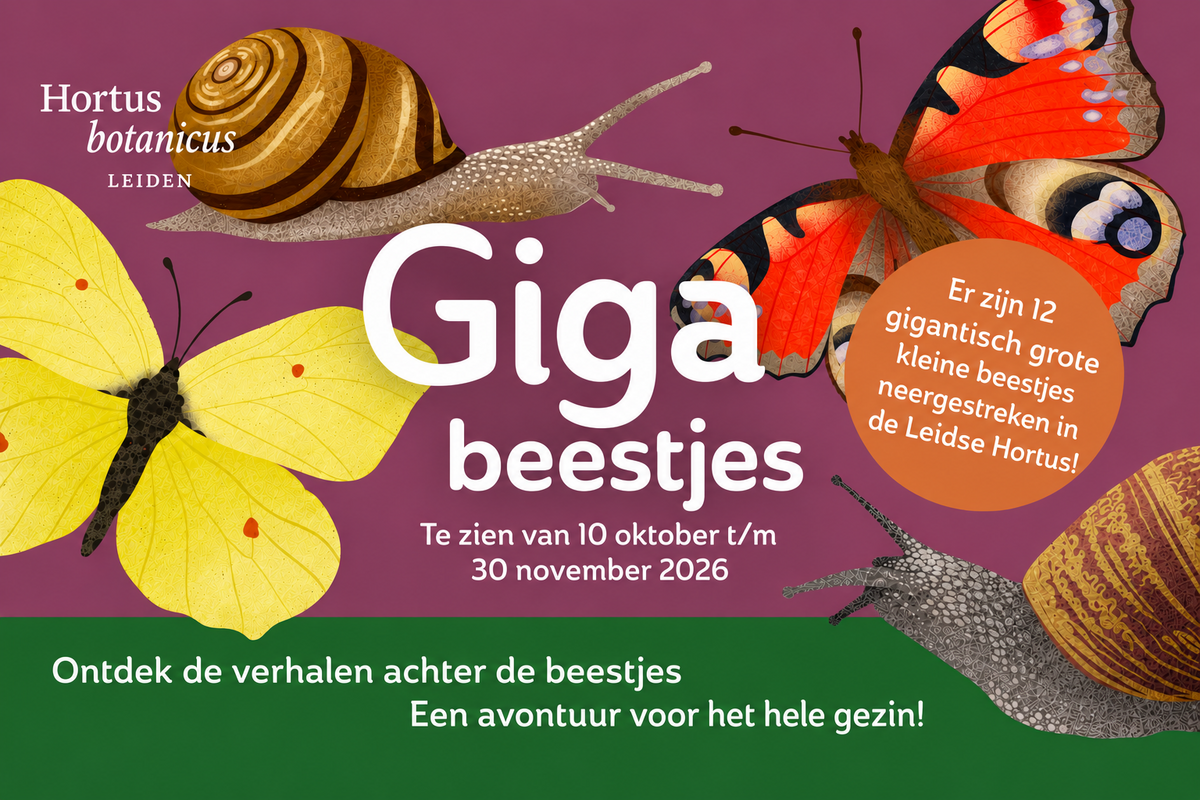 Entreeticket Hortus botanicus Leiden