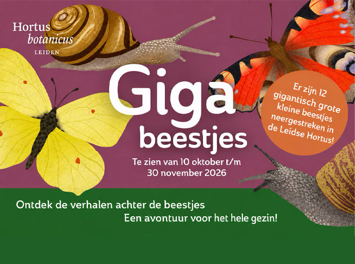 Entreeticket Hortus botanicus Leiden
