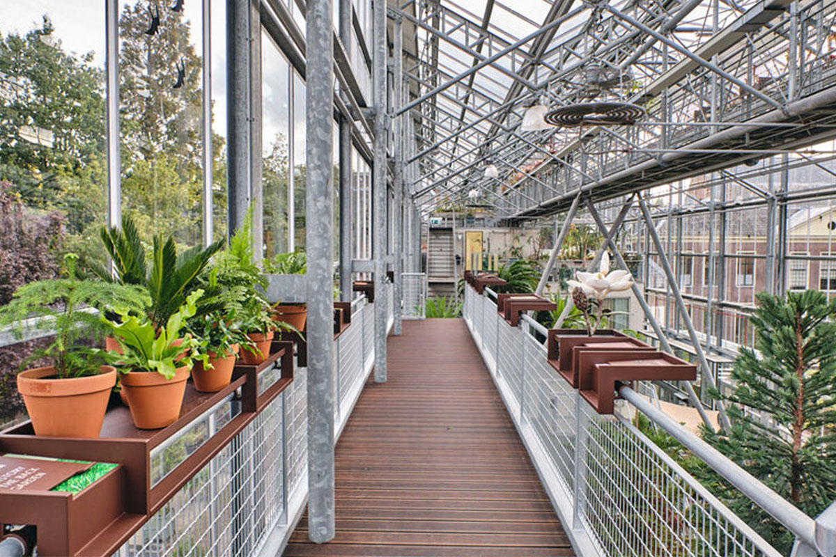 Entreeticket Hortus botanicus Leiden