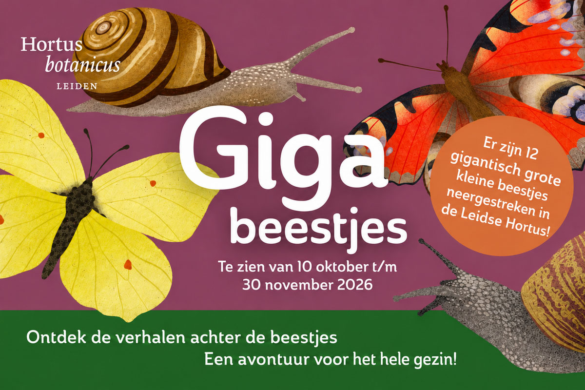 Entreeticket Hortus botanicus Leiden