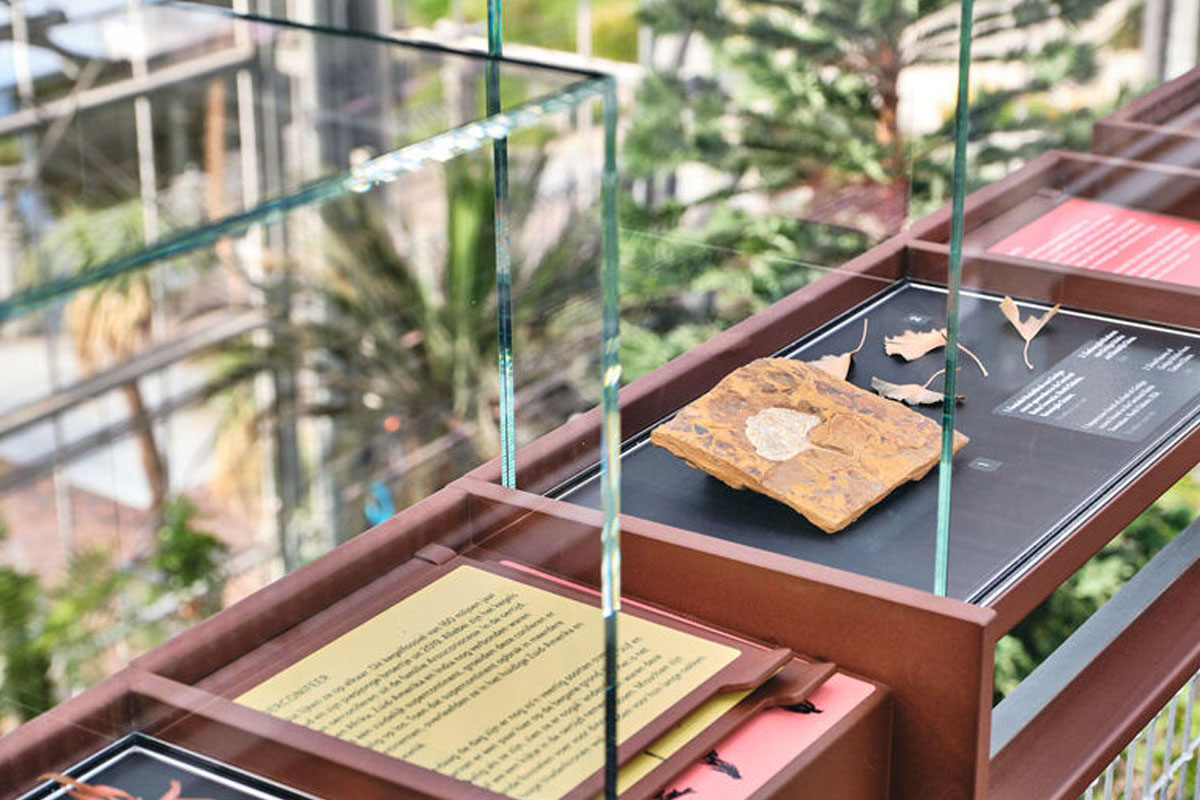 Entreeticket Hortus botanicus Leiden