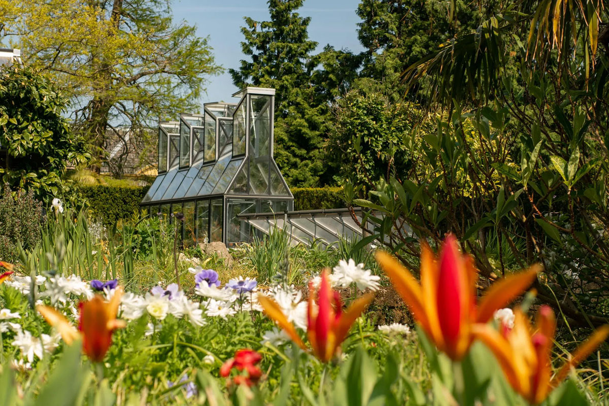 Entreeticket Hortus botanicus Leiden