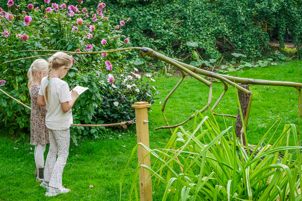 Admission ticket Hortus botanicus Leiden