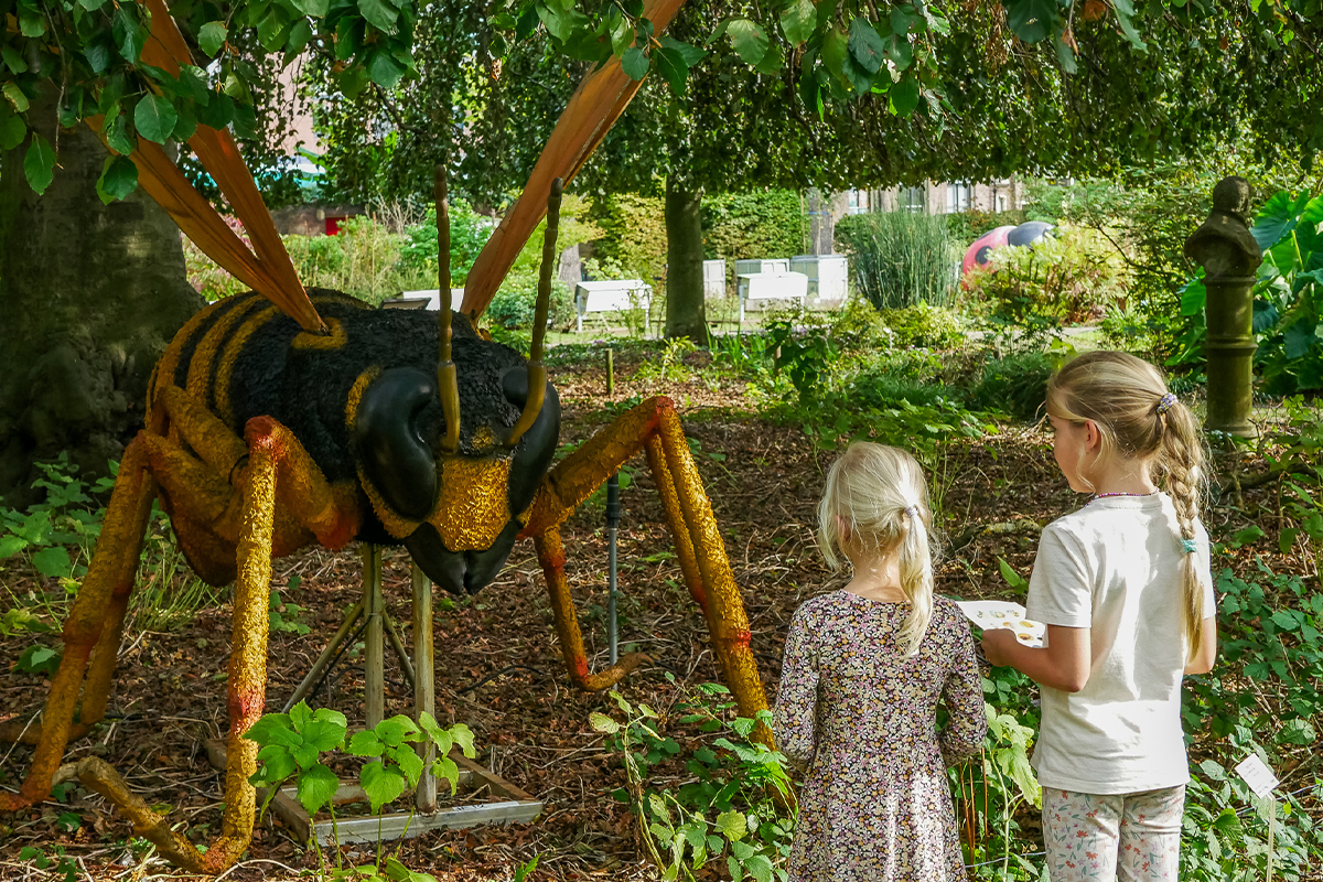 Admission ticket Hortus botanicus Leiden