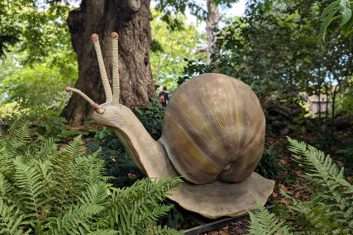 Admission ticket Hortus botanicus Leiden